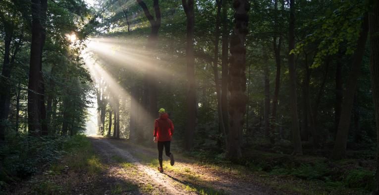 Man trail running in the forest