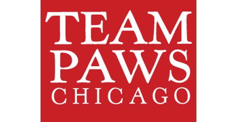TEAM PAWS Chicago