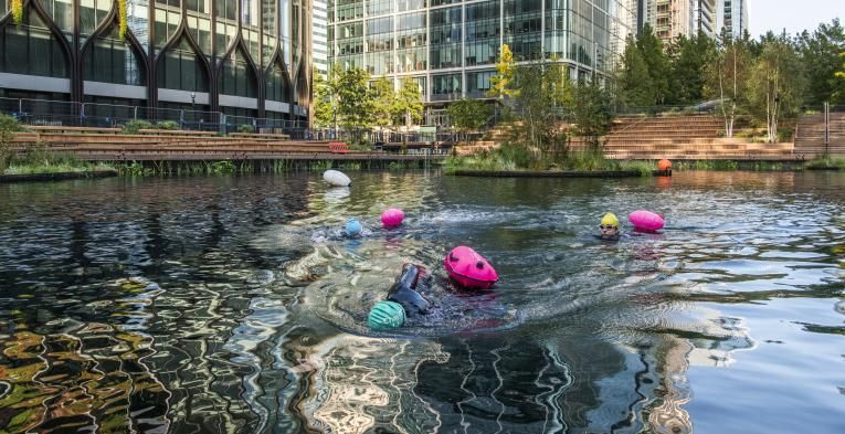 Eden Dock at Canary Wharf 