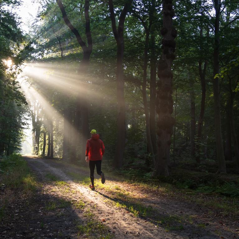 Man trail running in the forest