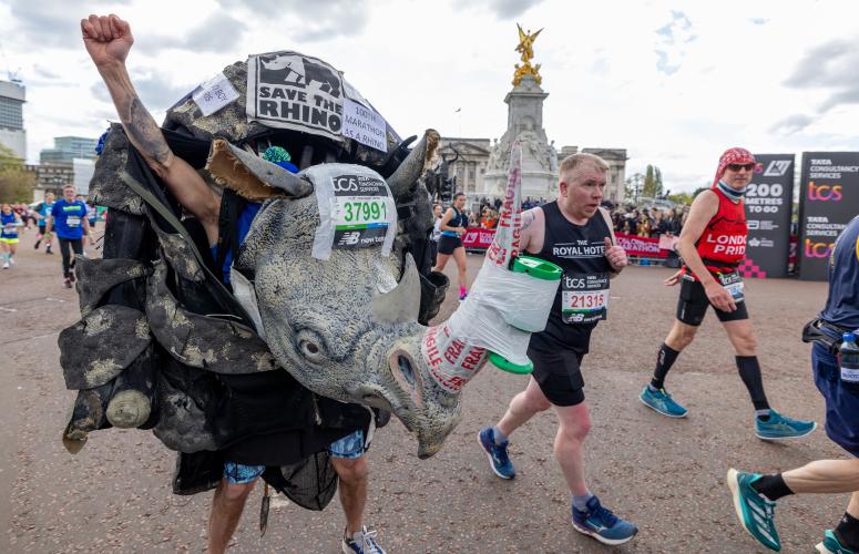 Person in running in a rhino costume for save the rhino's. There is a donation cup taped to the tusk of the rhino. 