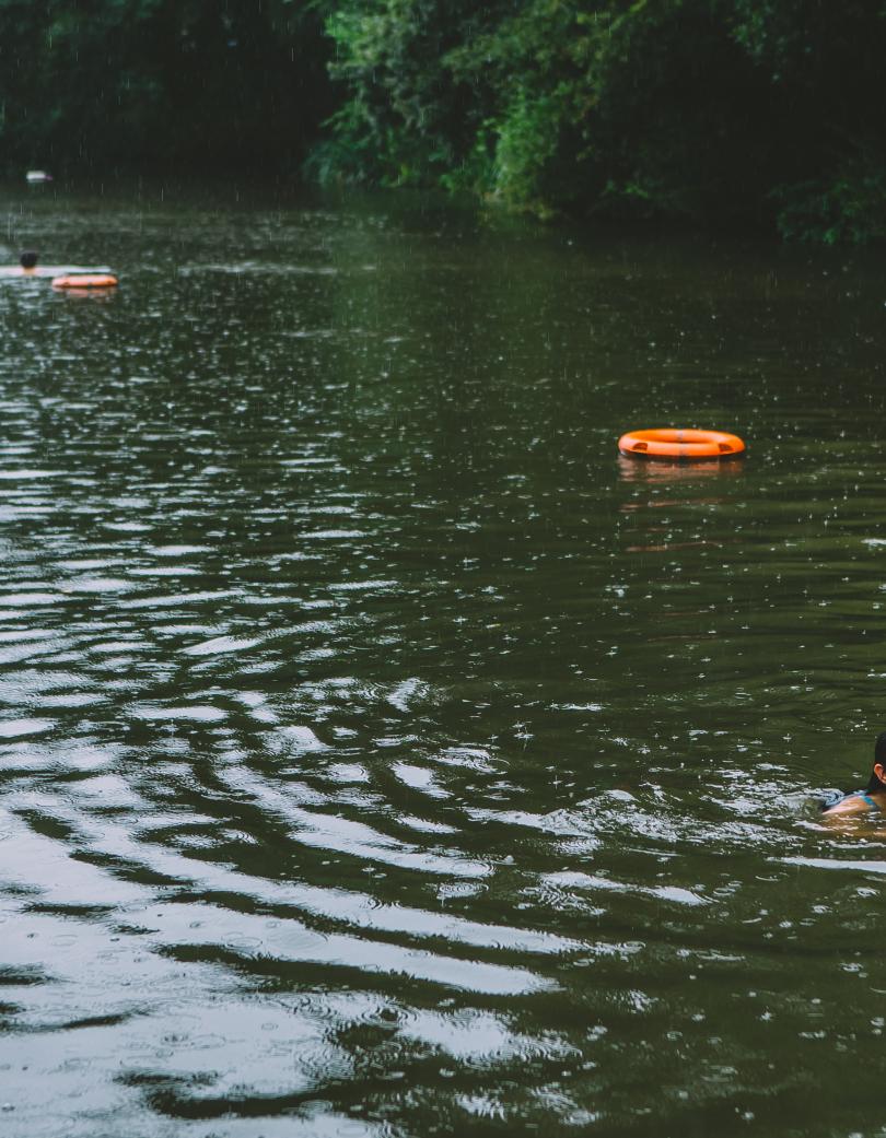 Swimmers at Hampstead Ponds