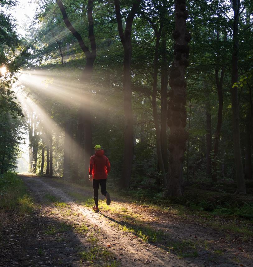 Man trail running in the forest 